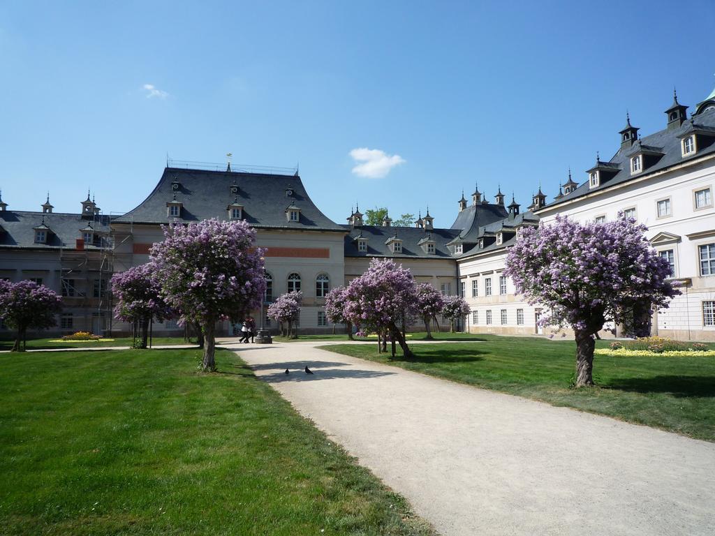 Ferienwohnung Villa Fiedler Dresden Værelse billede